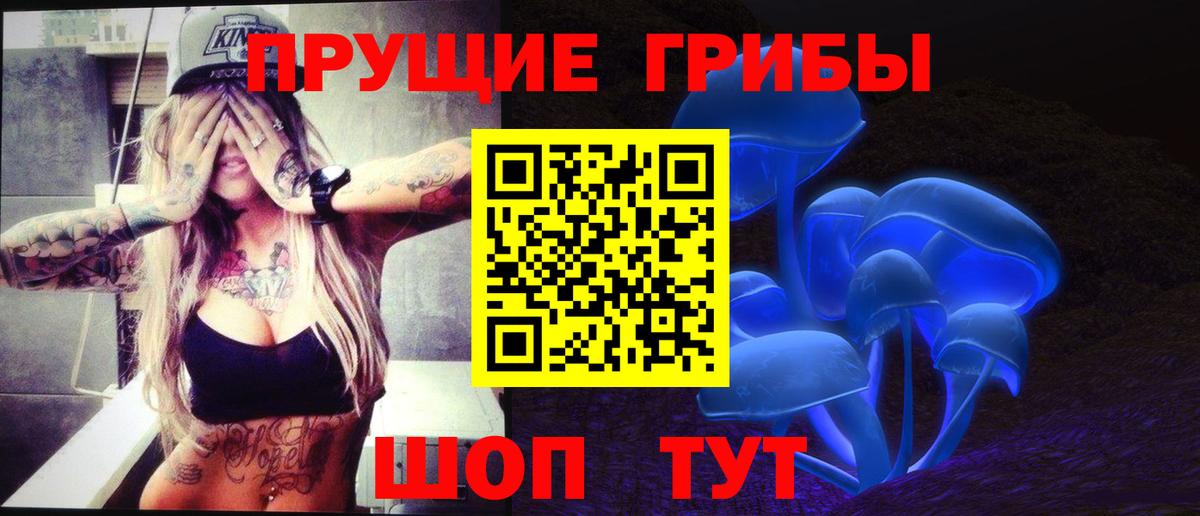купить   Вход с VPN  Нижнекамск  Галлюциногенные грибы прущие грибы 
